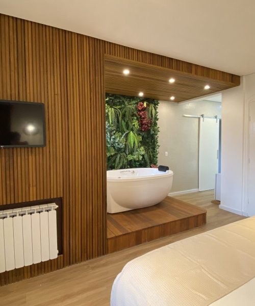 Mini SPA1 f